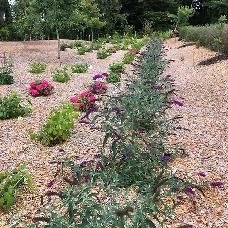 Billund Rooms Billund