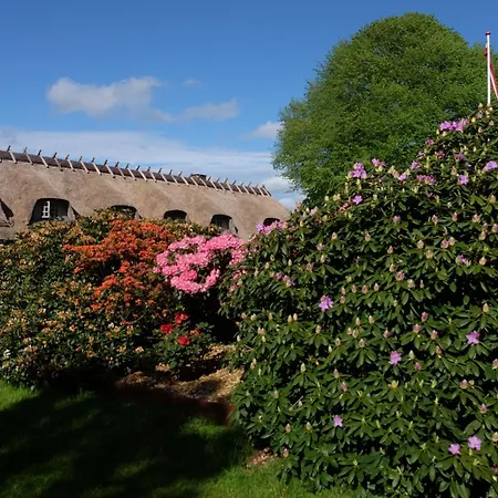 Billund Rooms 아파트 *