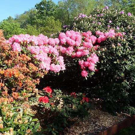 아파트 Billund Rooms *