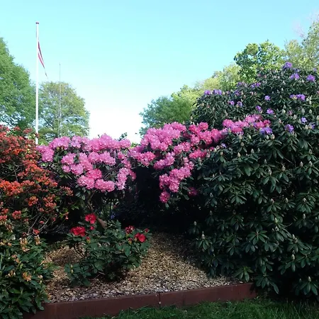 Billund Rooms 아파트 빌룬드